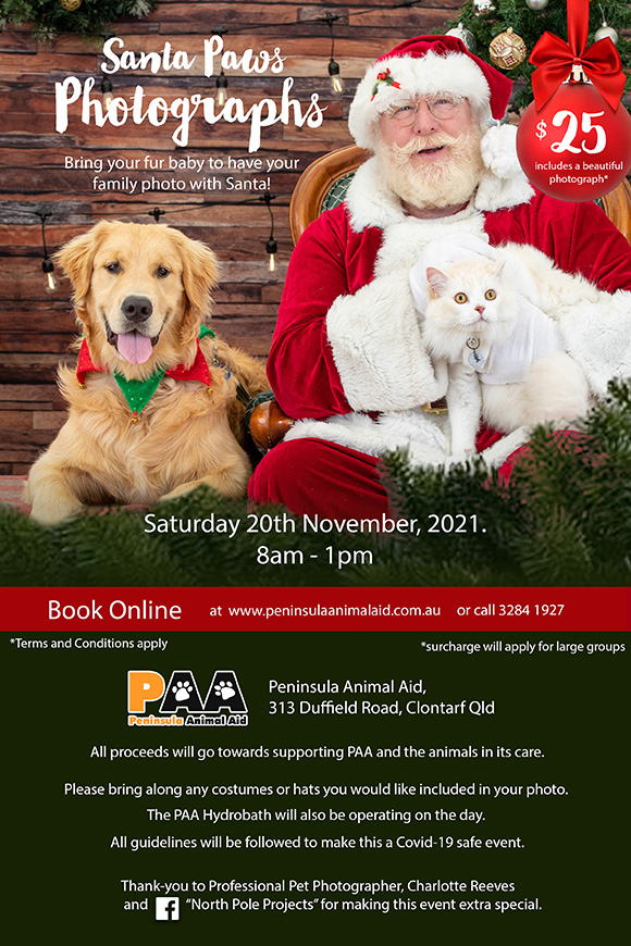Santa Paws 2021
